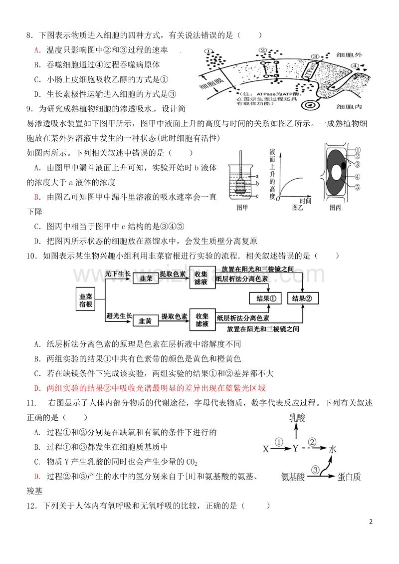 2017年山东省济南市高三生物期末复习题1.doc_第2页