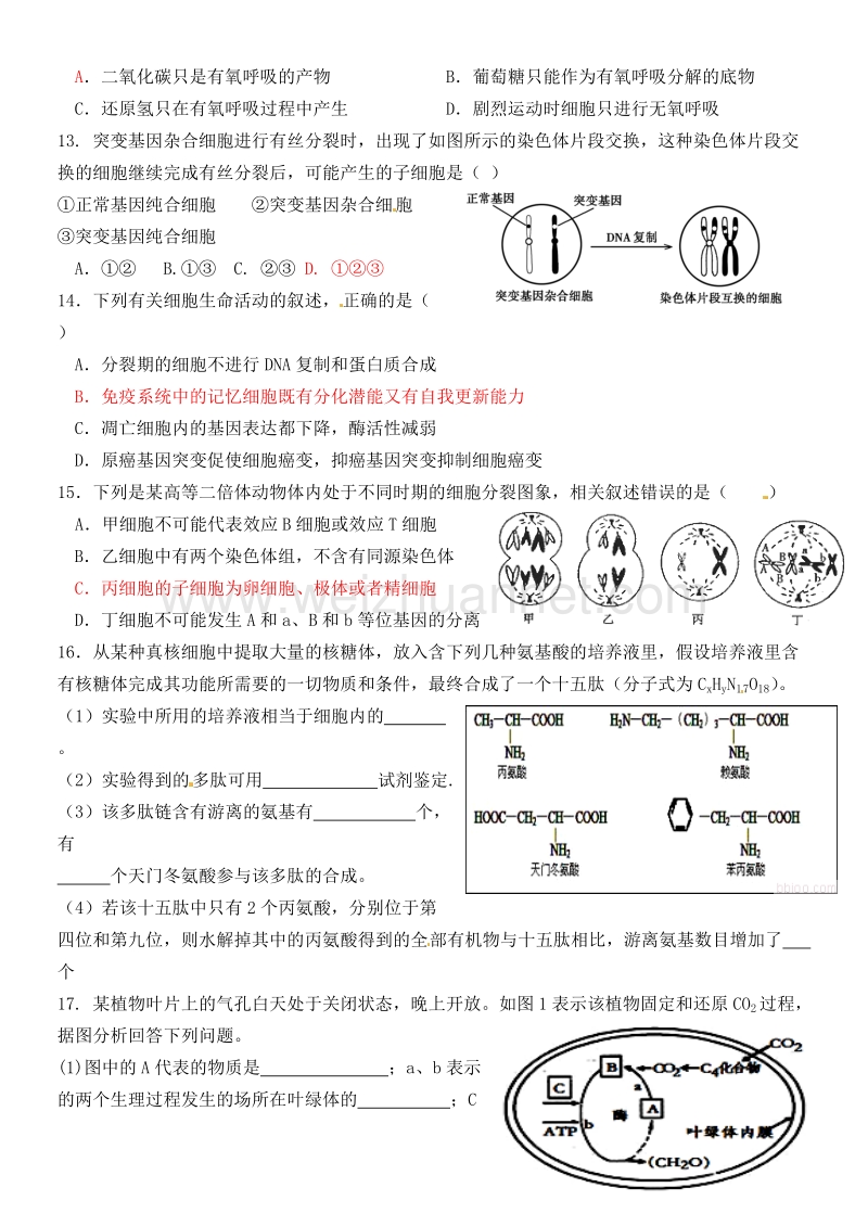 2017年山东省济南市高三生物期末复习题1.doc_第3页