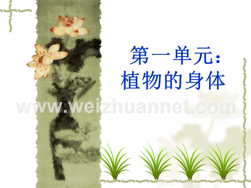 第一章植物的身体.ppt_第1页