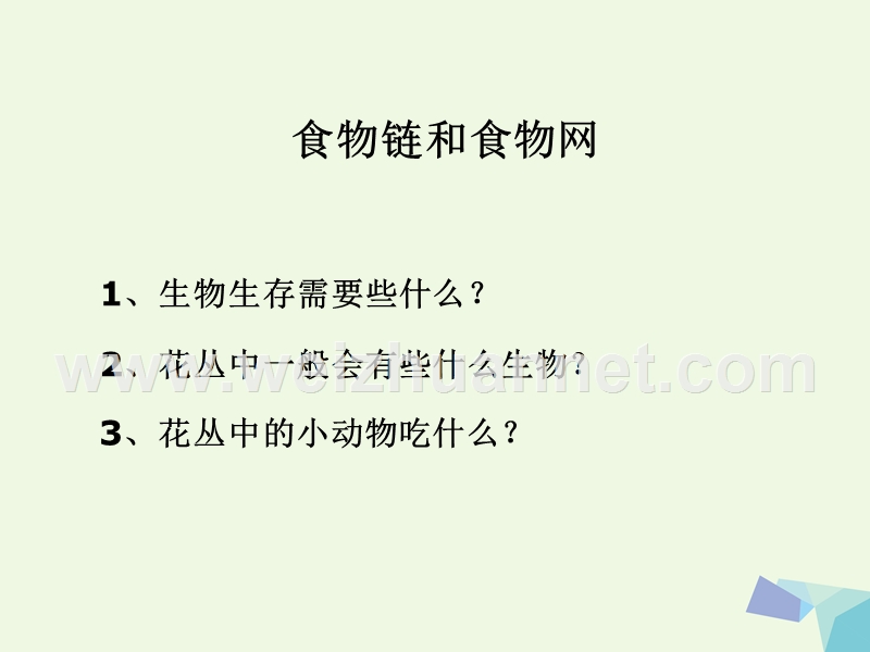 2016届五年级科学上册 1.5 食物链和食物网课件6 教科版.ppt_第2页