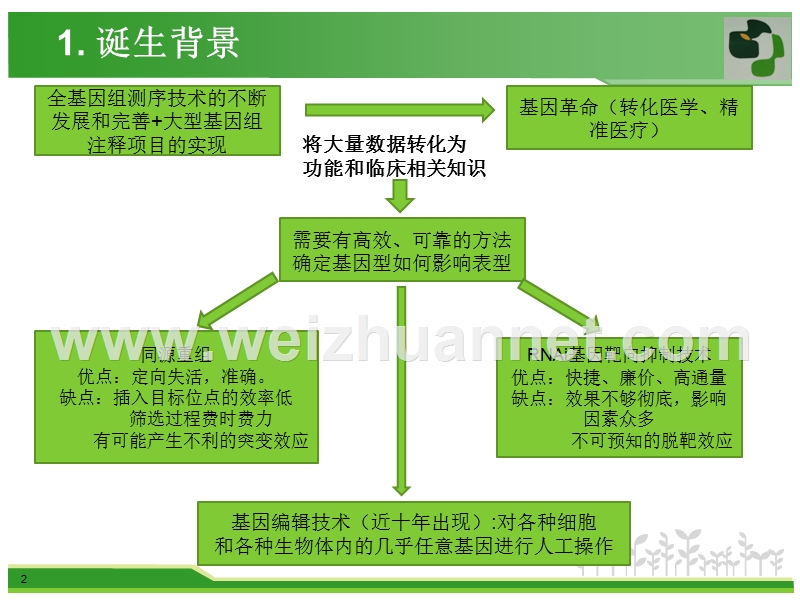 基因编辑技术.pptx_第2页