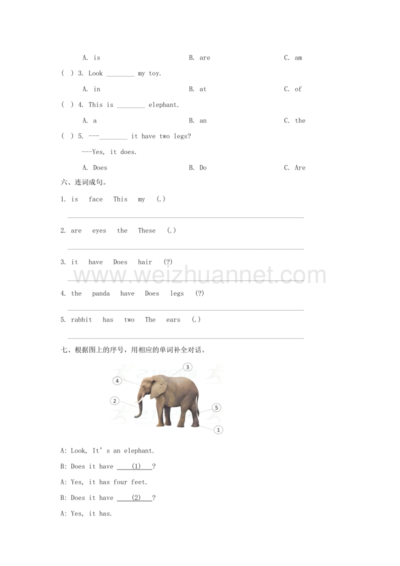 三年级英语下册 unit 1 my body单元测试卷 陕旅版.doc_第3页