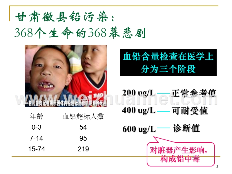 我国重金属污染及原位修复研究.ppt_第3页