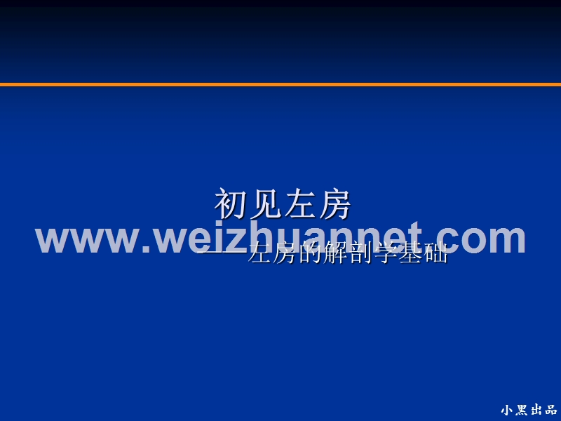 左房解剖学基础.ppt_第1页