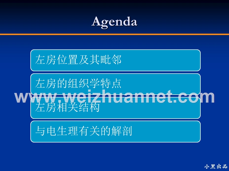 左房解剖学基础.ppt_第2页