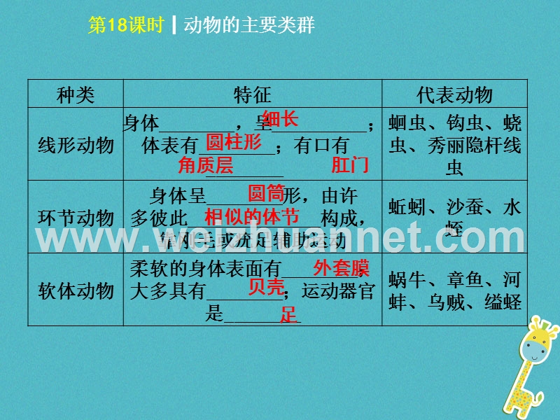 2018年中考生物 第五单元 生物圈中的其他生物 第18课时 动物的主要类群课件.ppt_第3页