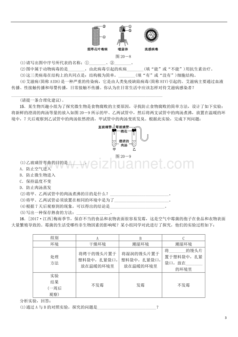 2018年中考生物 第五单元 生物圈中的其他生物 第20课时 生物圈中的微生物课时作业.doc_第3页