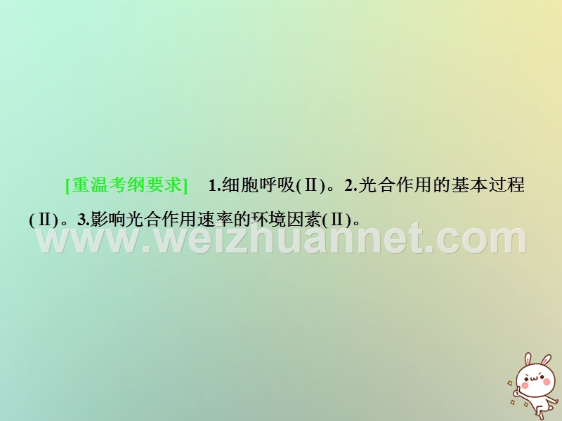 2018届高考生物二轮复习 专题4 光合作用与细胞呼吸课件.ppt_第2页