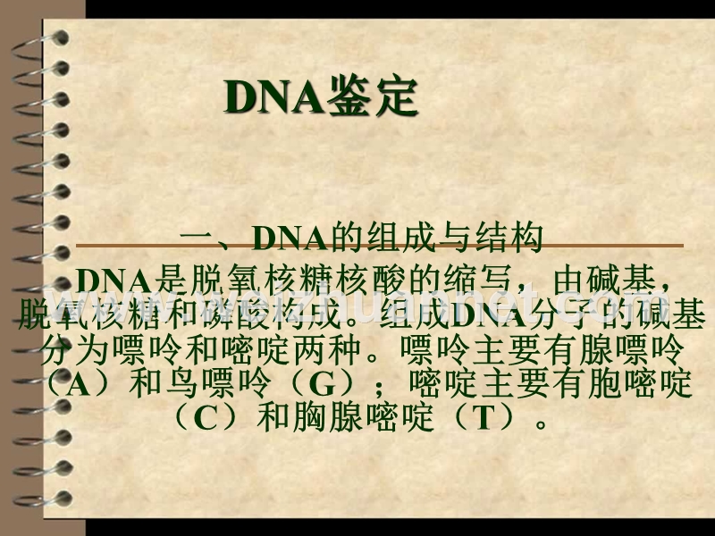 dna鉴定的ppt.ppt_第1页