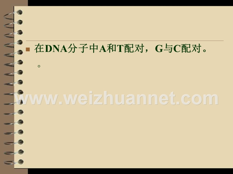 dna鉴定的ppt.ppt_第2页