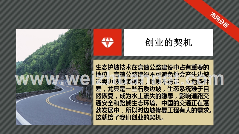 创业计划书——道路边坡修复公司.pptx_第2页