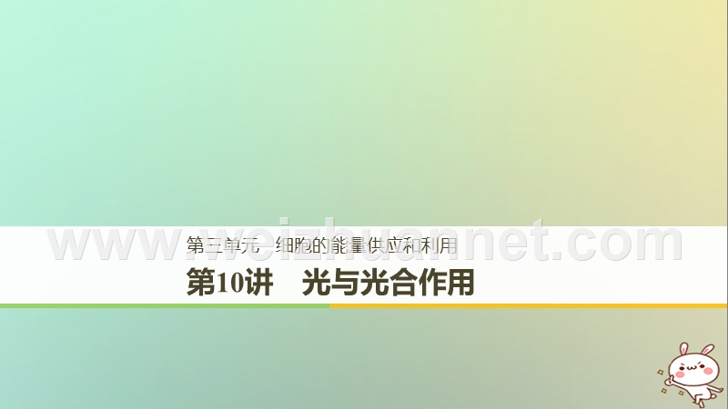 2018高考生物一轮复习 第3单元 细胞的能量供应和利用 第10讲 光与光合作用课件.ppt_第1页