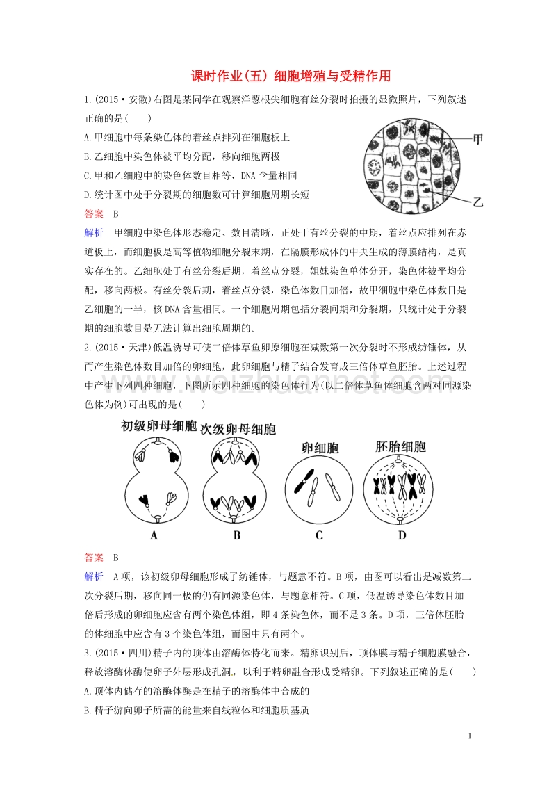 2018届高考生物二轮复习 课时作业5 细胞增殖与受精作用.doc_第1页