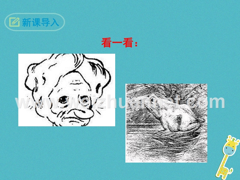 2018八年级语文下册 第二单元 8 换个角度看问题课件 语文版.ppt_第3页