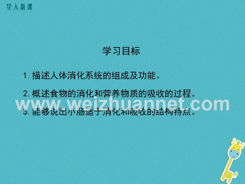 2018七年级生物下册 第8章 第2节 食物的消化和营养物质的吸收课件2 （新版）北师大版.ppt_第3页