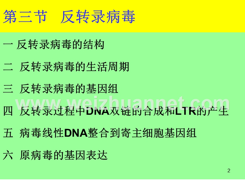 2016-7-反转录-病毒.ppt_第2页