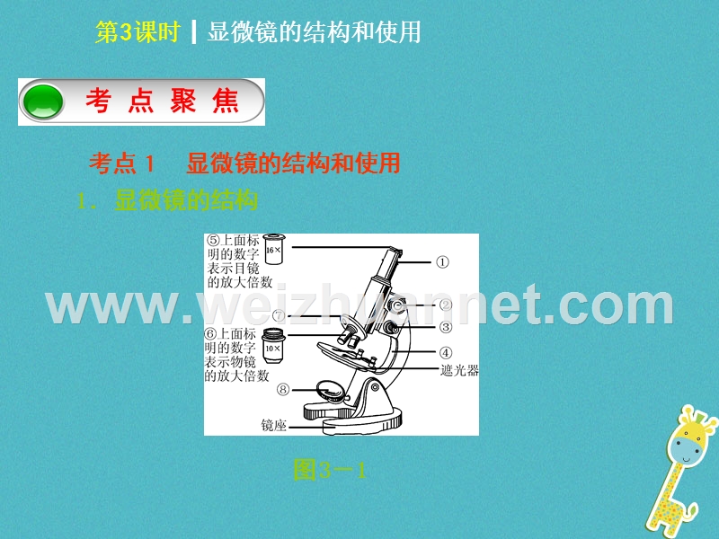 2018年中考生物 第二单元 生物体的结构层次 第3课时 显微镜的结构和使用课件.ppt_第2页