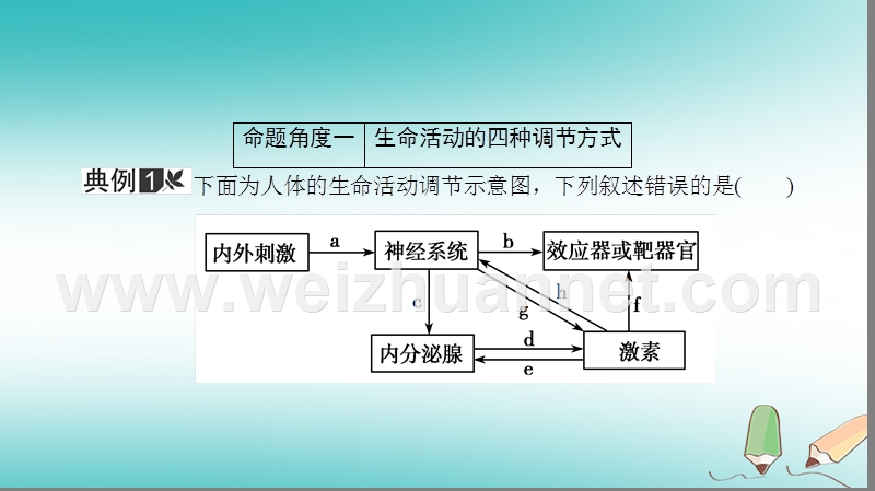 2018届高考生物二轮复习 第一部分 模块专题突破 高考大题冲关练（三）生命活动的调节机制课件.ppt_第3页