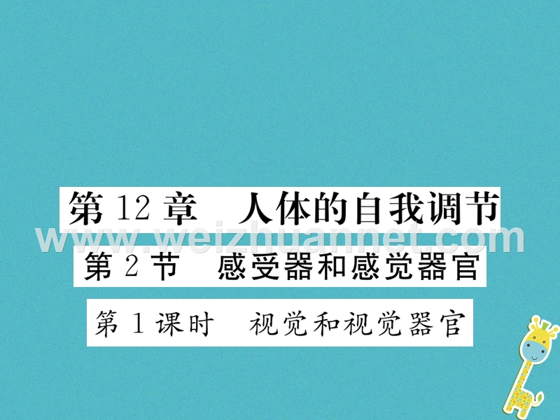 2018七年级生物下册 第12章 第2节 感受器和感觉器官 第1课时（视觉和视觉器官）课件 （新版）北师大版.ppt_第1页