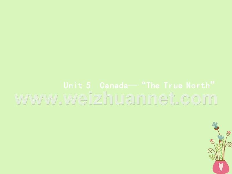 （浙江专用）2019届高三英语一轮复习 unit 5 canada-“the true north”课件 新人教版必修3.ppt_第1页