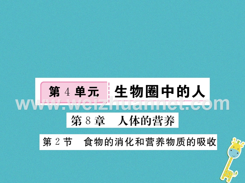 2018七年级生物下册 第8章 第2节 食物的消化和营养物质的吸收课件1 （新版）北师大版.ppt_第1页