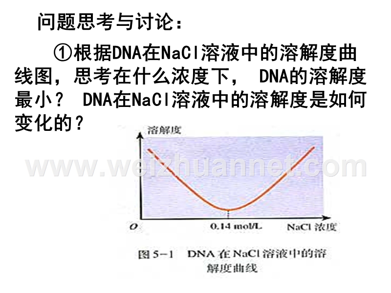 dna的粗提取和分离.ppt_第3页