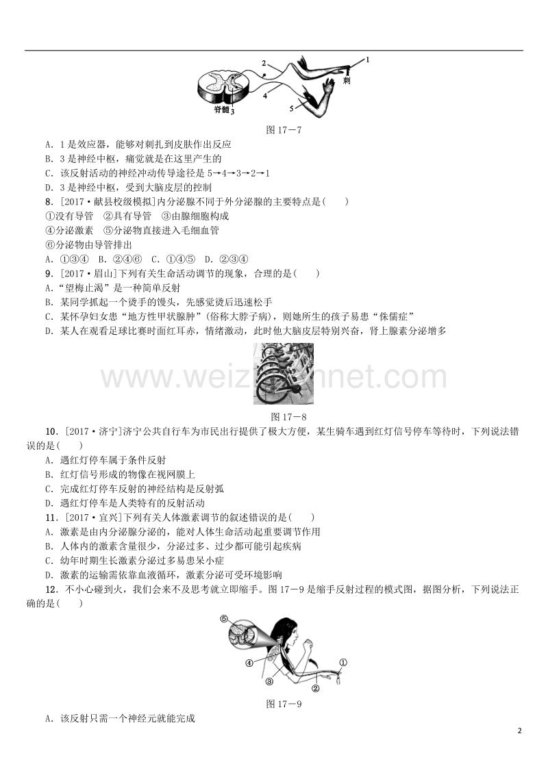 2018年中考生物 第四单元 生物圈中的人 第17课时 神经调节与激素调节课时作业.doc_第2页