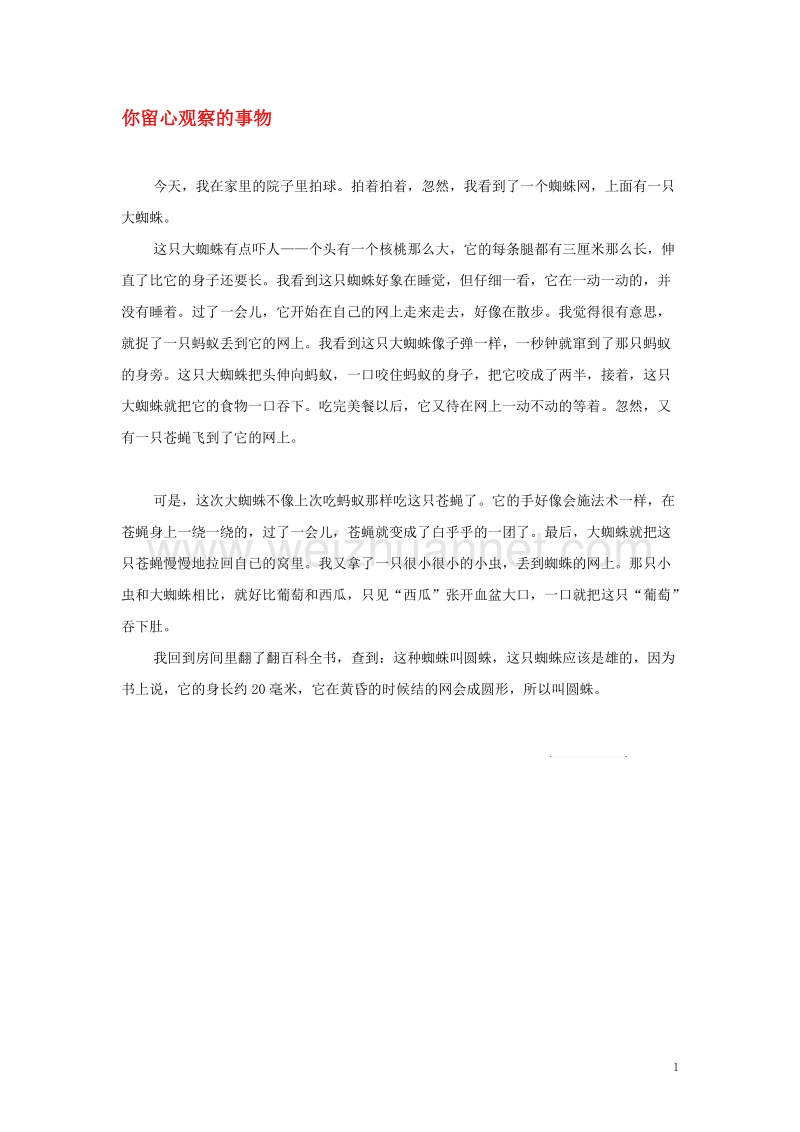 四年级语文上册第二组单元作文范文集选题你留心观察的事物素材新人教版.doc_第1页