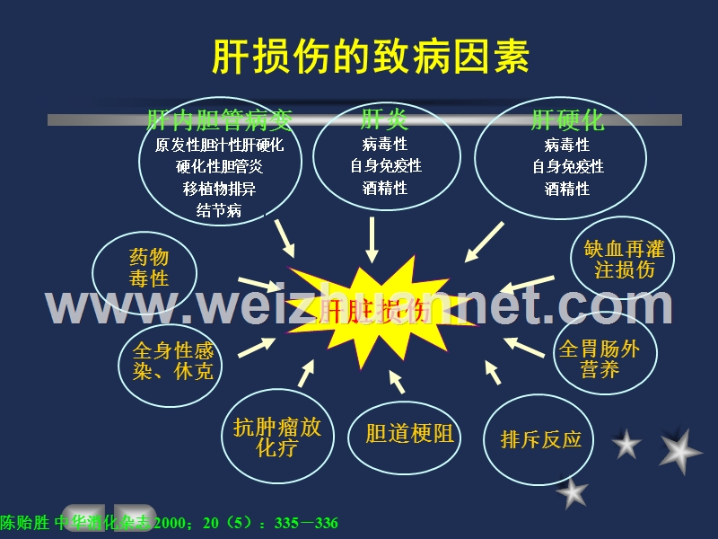 3中毒性肝损害肝衰竭诊断与治疗-史继学.ppt_第3页