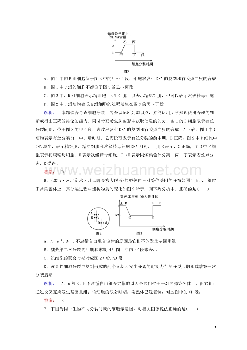 2018届高考生物二轮复习 专题质量检测（三）细胞的生命历程.doc_第3页