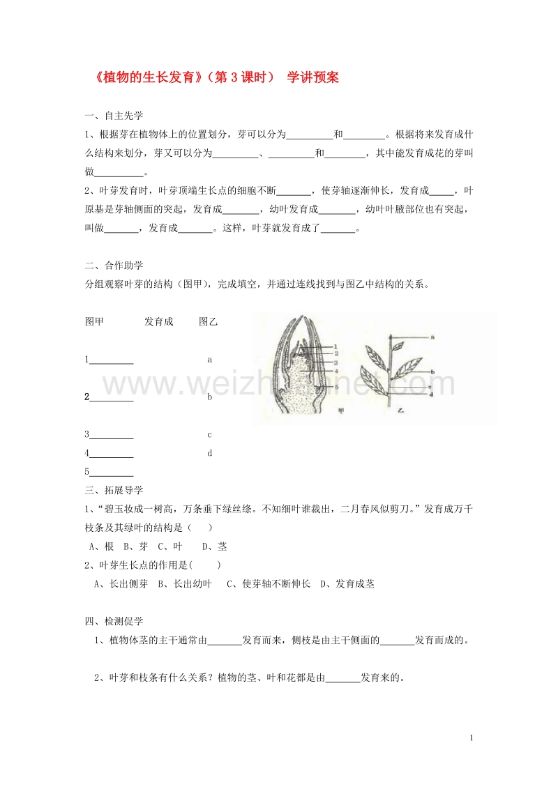 八年级生物上册19.2植物的生长发育第3课时学案无答案新版苏科版20170804477.doc_第1页