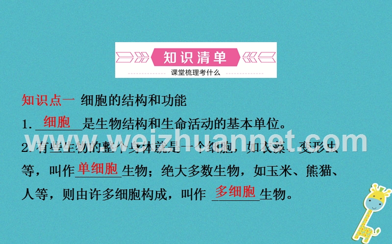 山东省济南市2018年中考生物 第一单元 奇妙的生命现象 第二章 观察生物结构课件.ppt_第3页