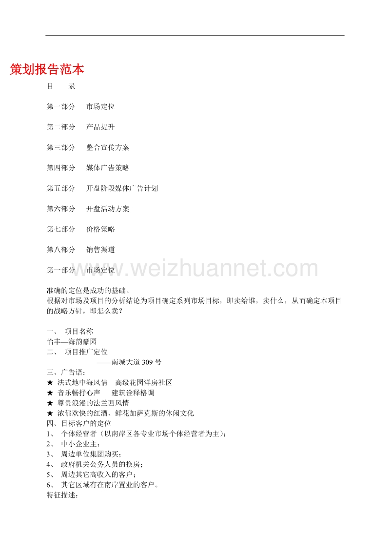 策划报告范本.doc_第1页