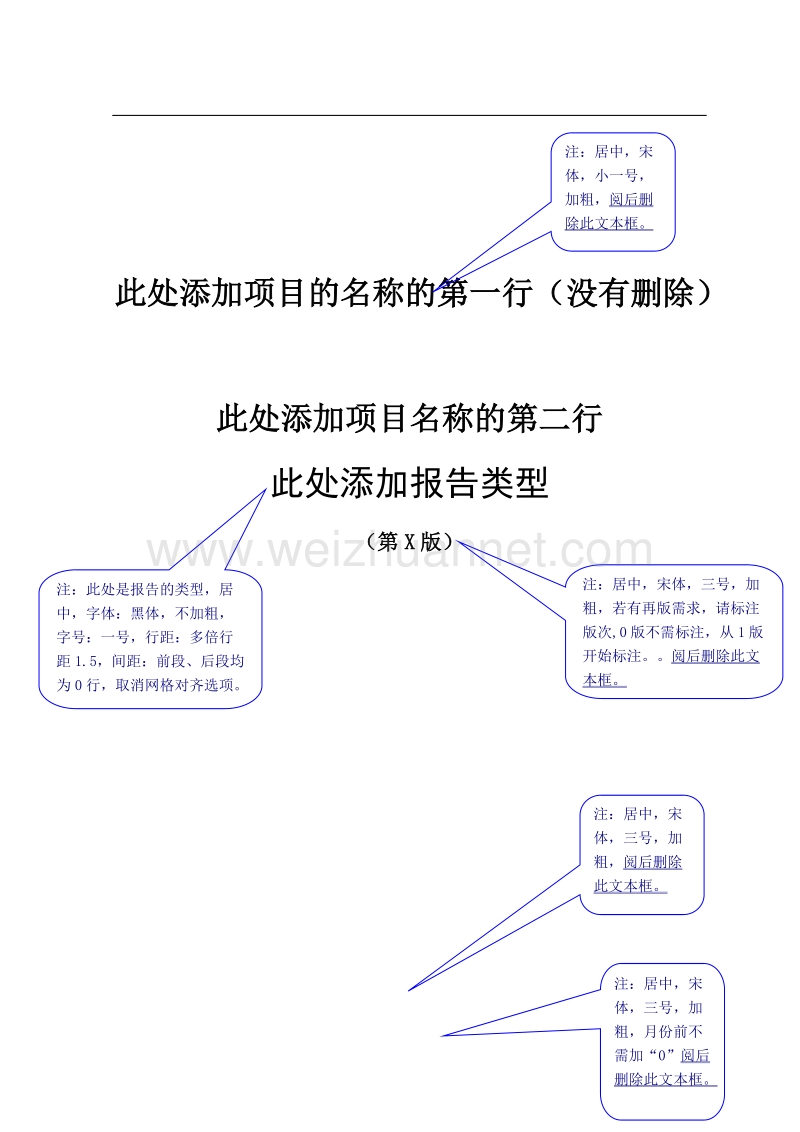 工程类项目报告编写格式(国工委).doc_第1页