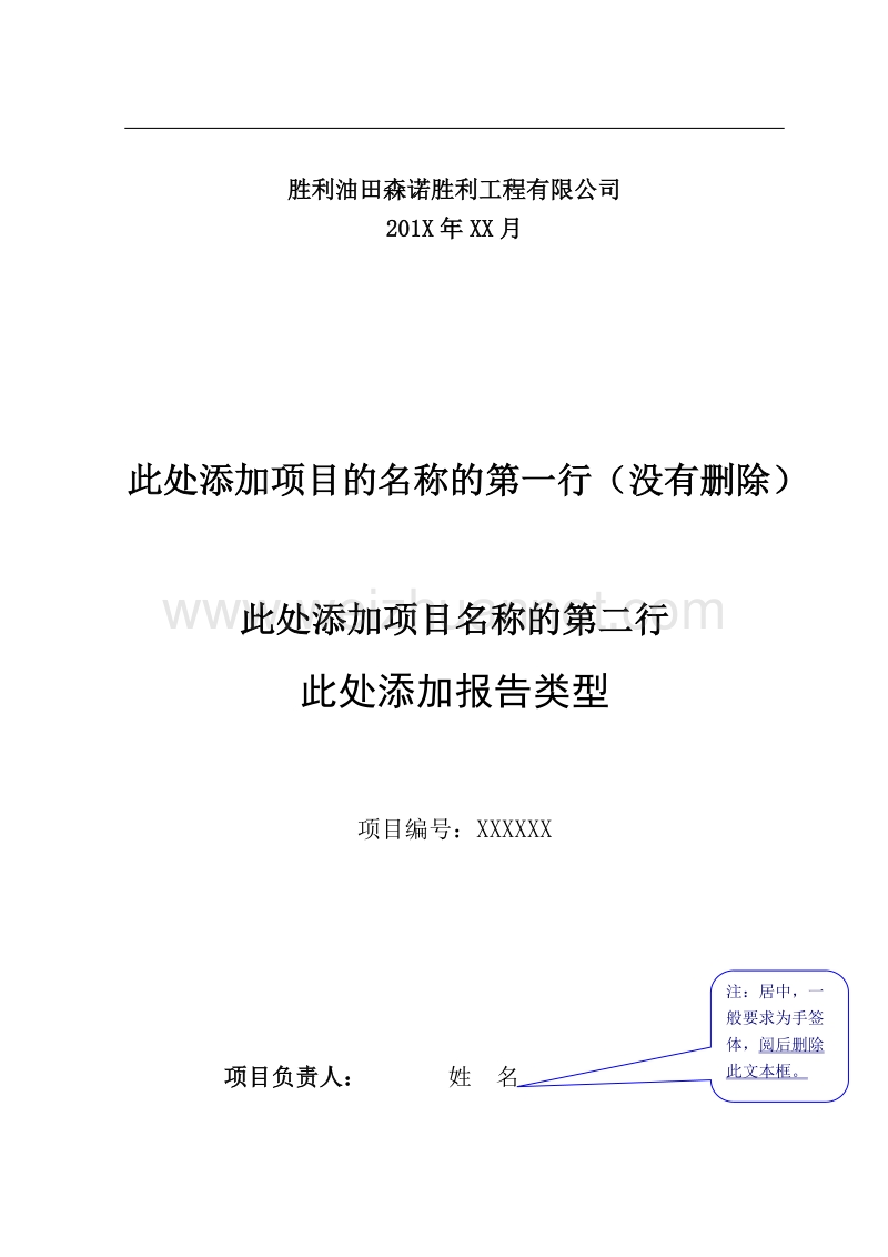 工程类项目报告编写格式(国工委).doc_第2页