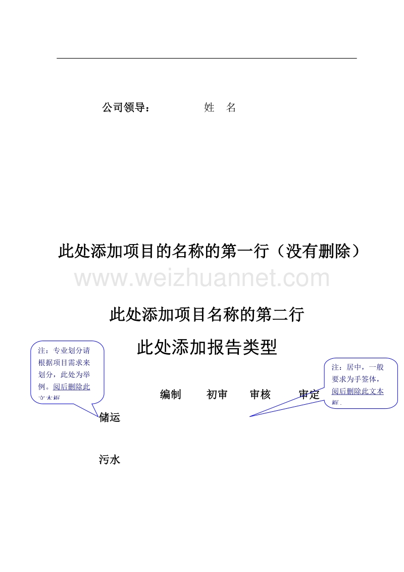 工程类项目报告编写格式(国工委).doc_第3页