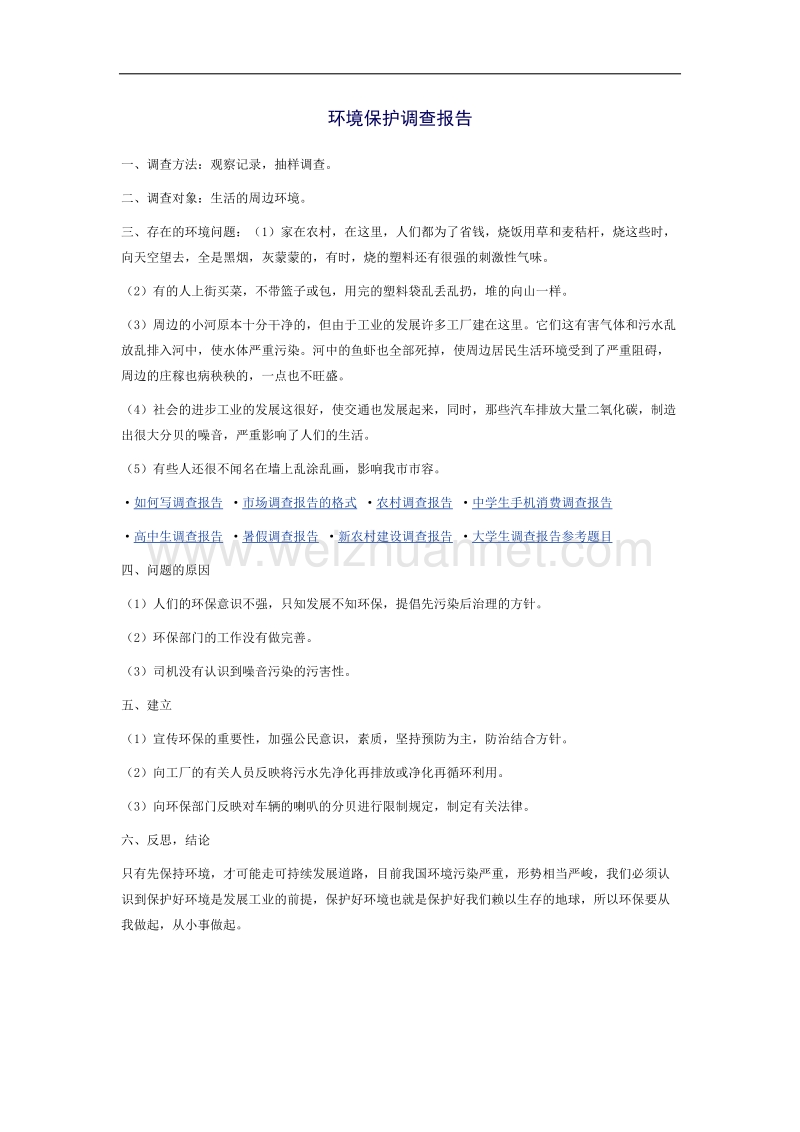 环境调查报告格式范文.docx_第1页