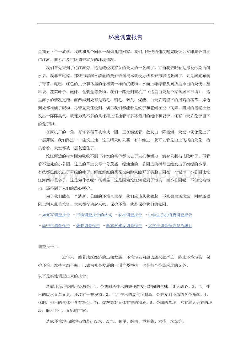 环境调查报告格式范文.docx_第2页