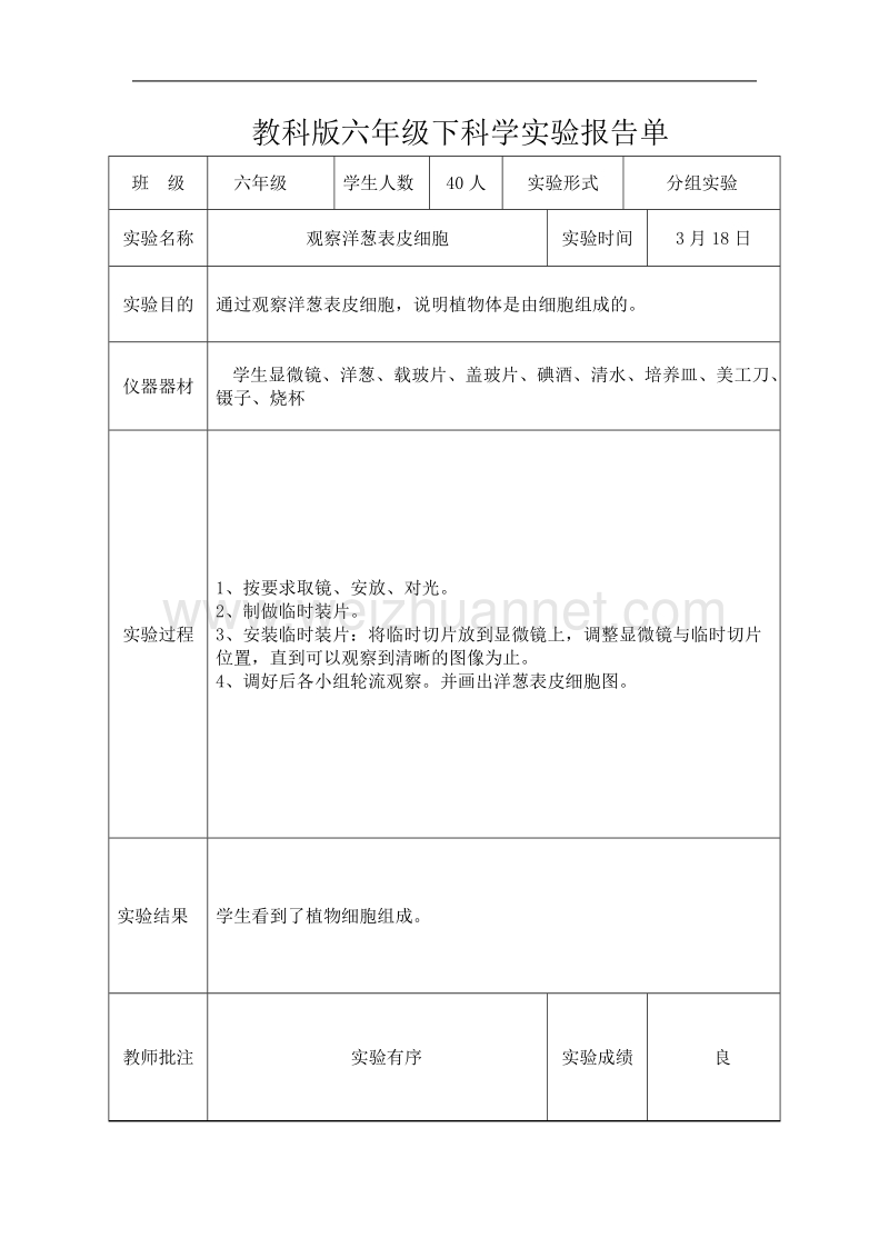 教科版六年级下科学实验报告单新版.doc_第3页