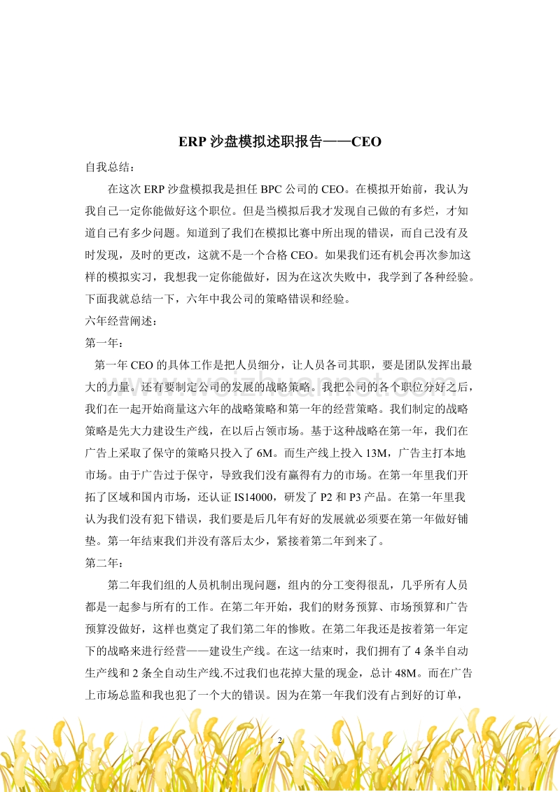 erp沙盘模拟述职报告.doc_第2页