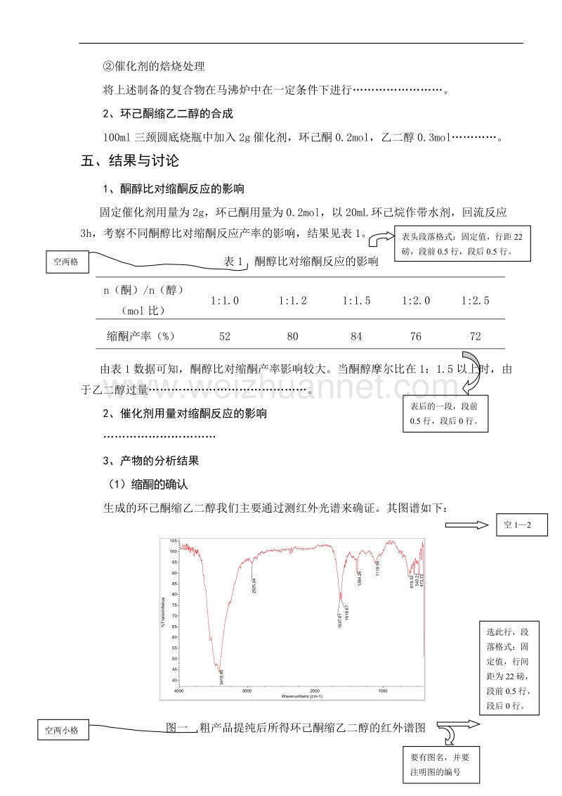 学生探究性实验报告格式.doc_第2页