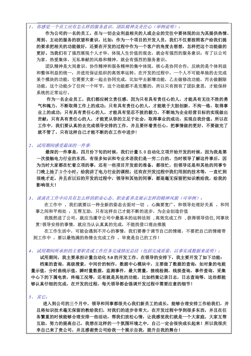 试用期总结报告.doc_第2页