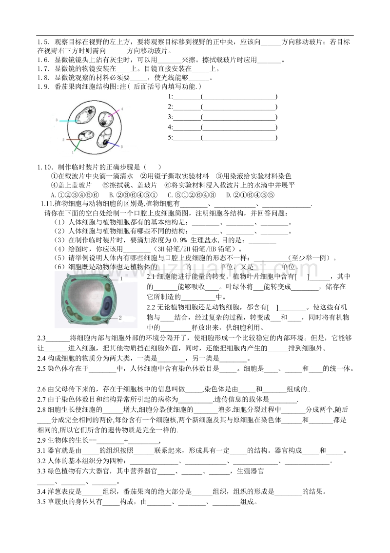 七年级生物上学期知识点总结.doc_第2页