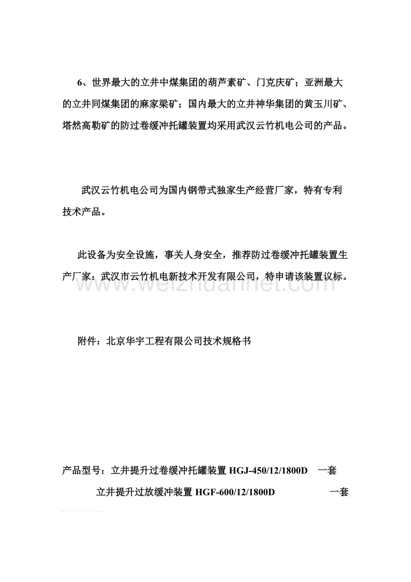 瑞龙矿议标报告.doc_第2页