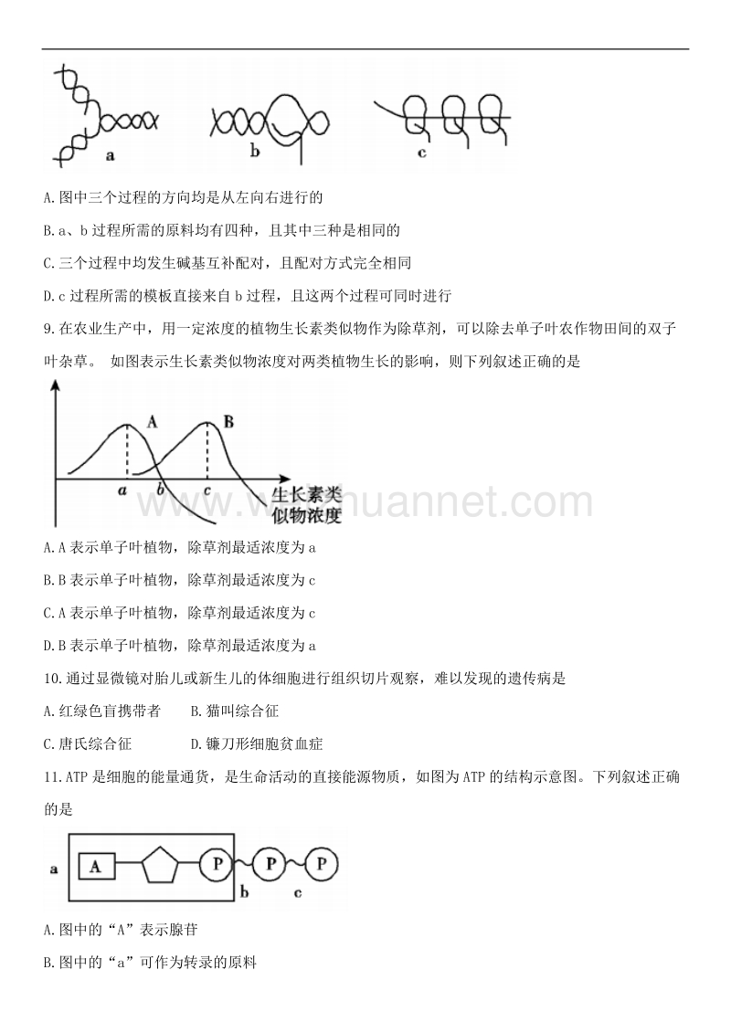 浙江省2018届高三“超级全能生”8月联考生物试题及答案.doc_第2页