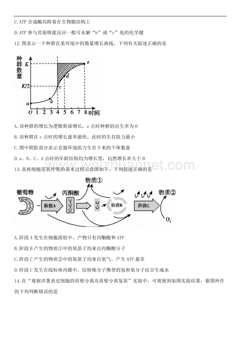 浙江省2018届高三“超级全能生”8月联考生物试题及答案.doc_第3页