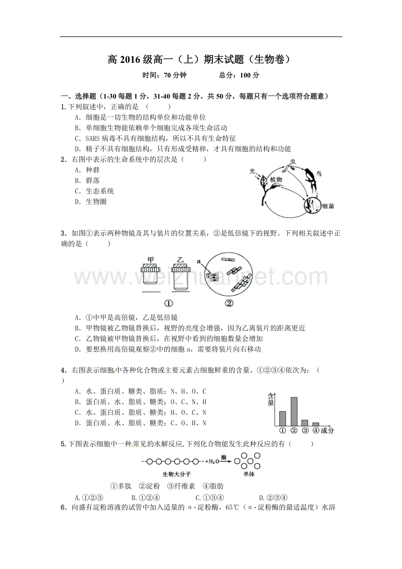 高一上生物期末考试-试卷+答案+答题卡.doc_第1页