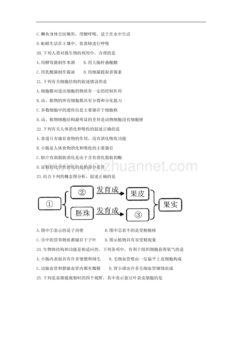 江苏省宜兴市2017年中考生物试题.doc_第3页