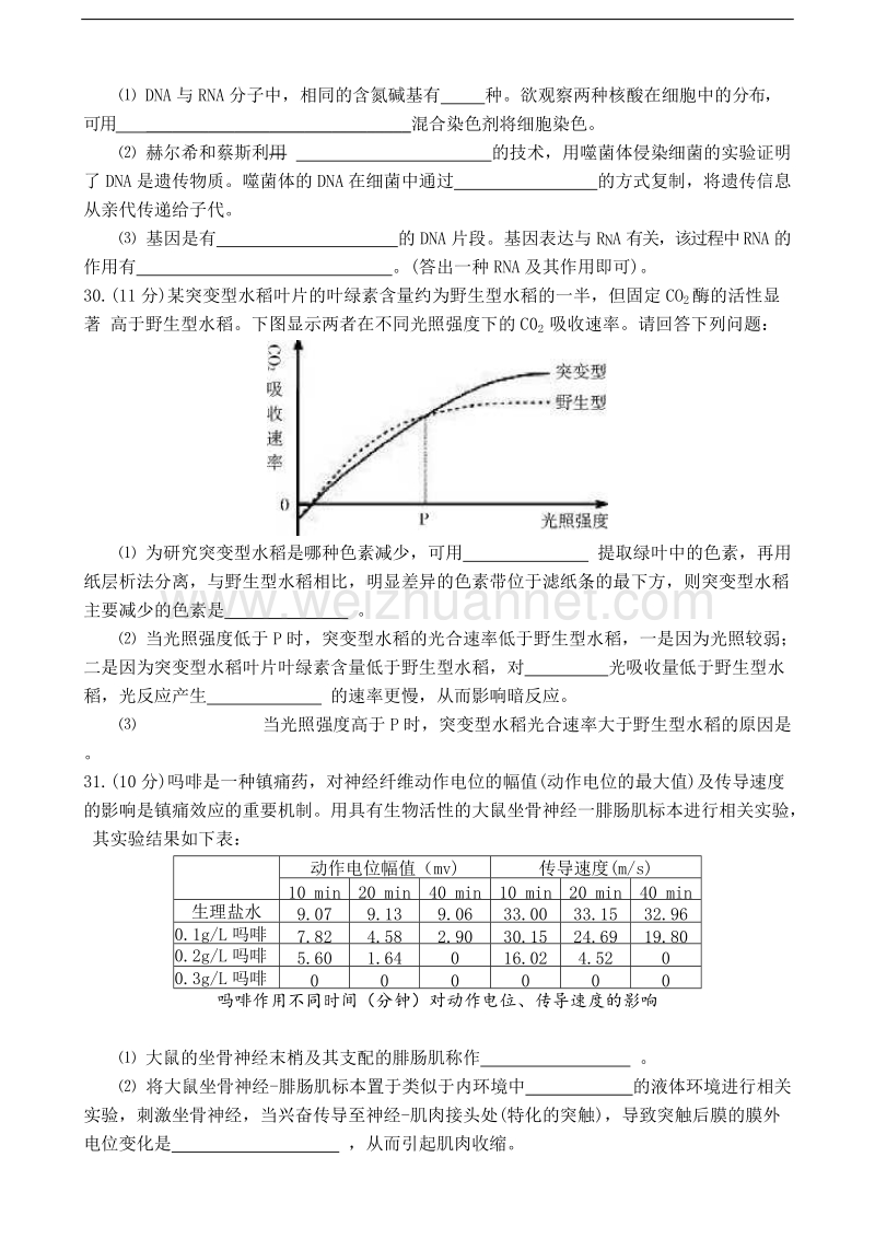 凉山州2018届高三一诊生物试题及答案.doc_第2页