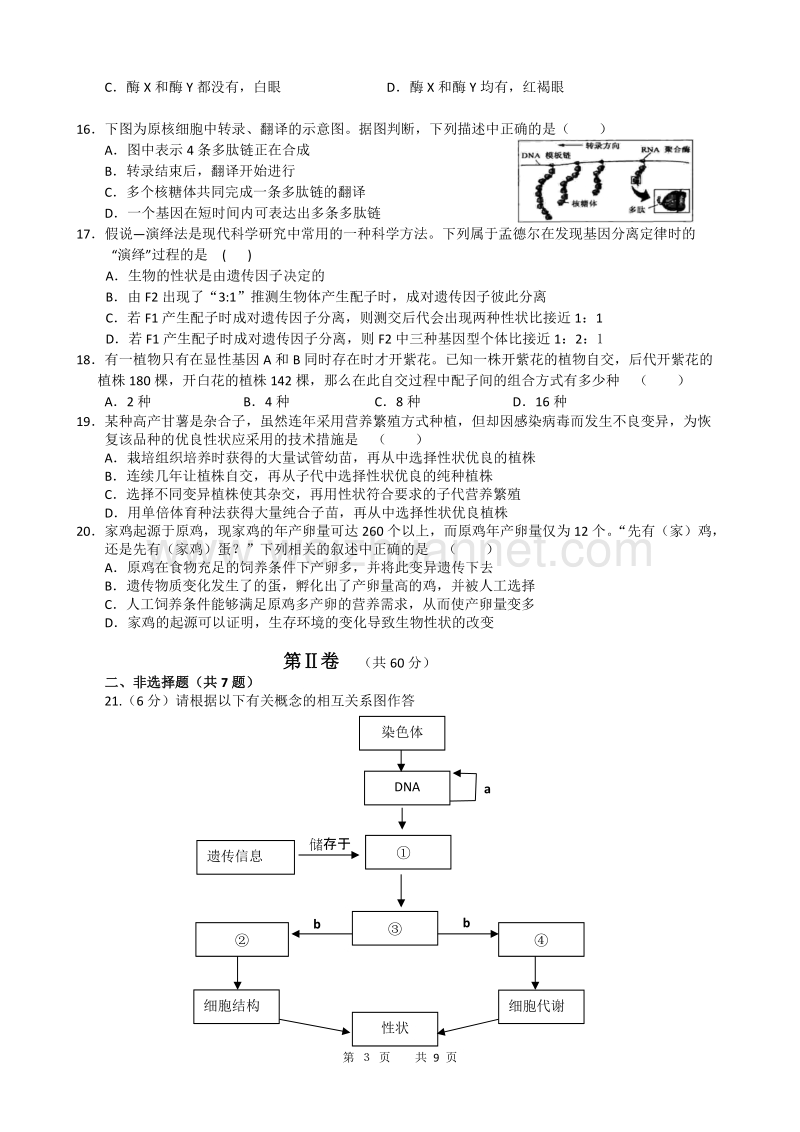 浒山中学2011届第二次月考生物试卷.doc_第3页